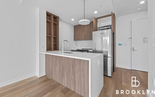 50 East Tenth Street #528